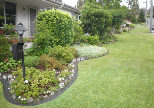 Hedge Pruning Services Clarksville Tennessee