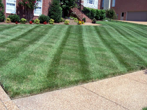 Lawn Mowing and Yard Care Services Clarksville Tennessee