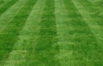 Mulch Installation Services Clarksville Tennessee