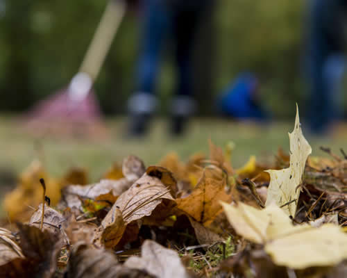 Spring and Fall Cleanup Services Clarksville Tennessee